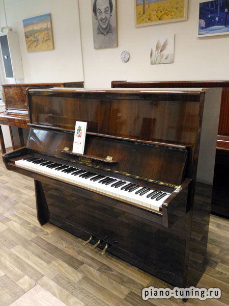 фортепиано Чехия